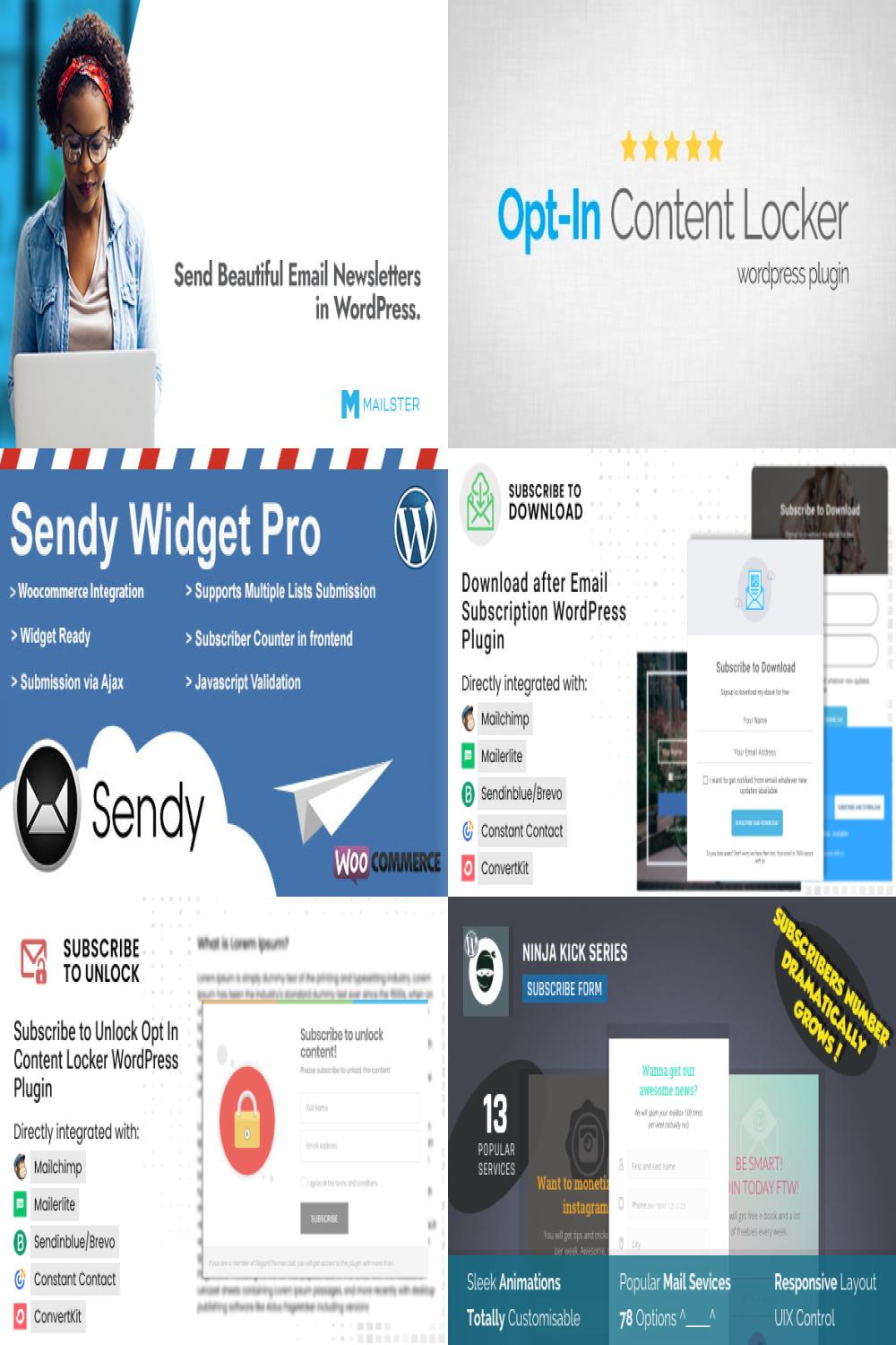 Top 10 Best WordPress Newsletter & Email Marketing Plugins: Comprehensive Reviews for 2024