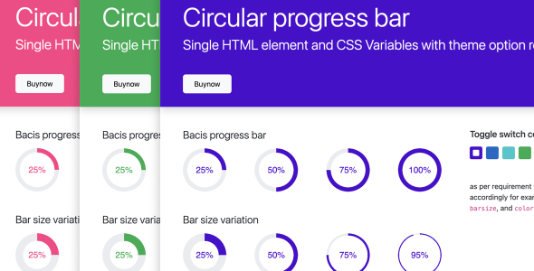 Circular Progress Bar with Single HTML CSS