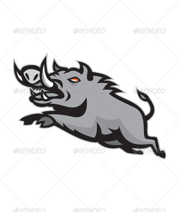 Wild Pig Boar Jumping Isolated
