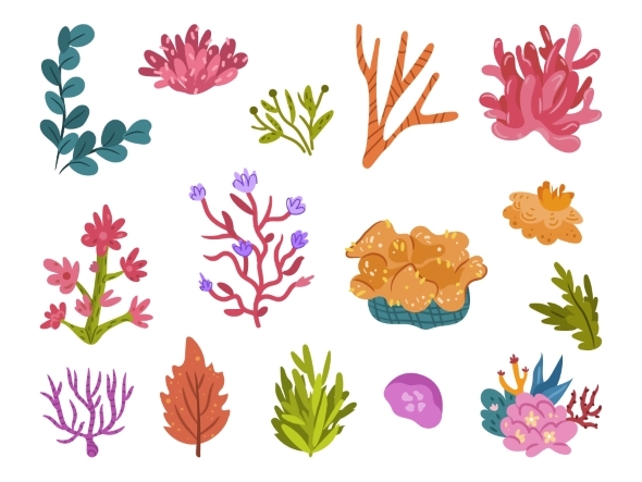 Seaweeds and Corals Flourishing Ocean Decoration