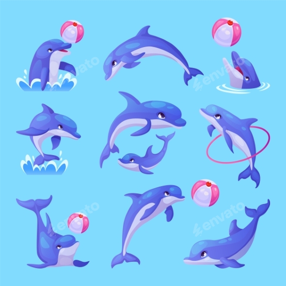Cartoon Dolphins