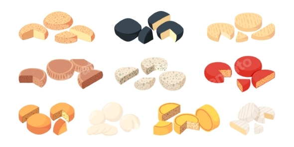 Hard Cheese Wheels Dairy Products Farm Made