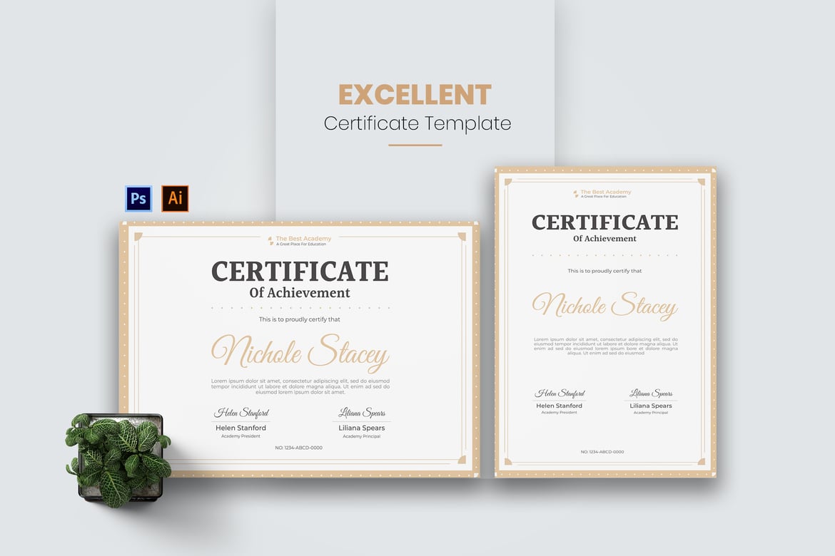 Excellent Academy Certificate