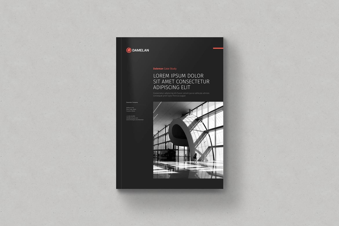 Damelan - Case Study Booklet
