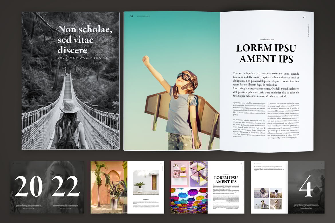 Clean Annual Report Brochure
