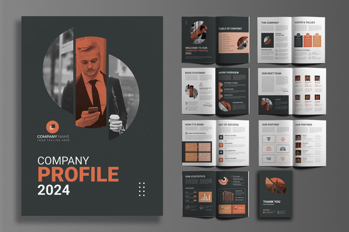 Comprehensive Company Profile