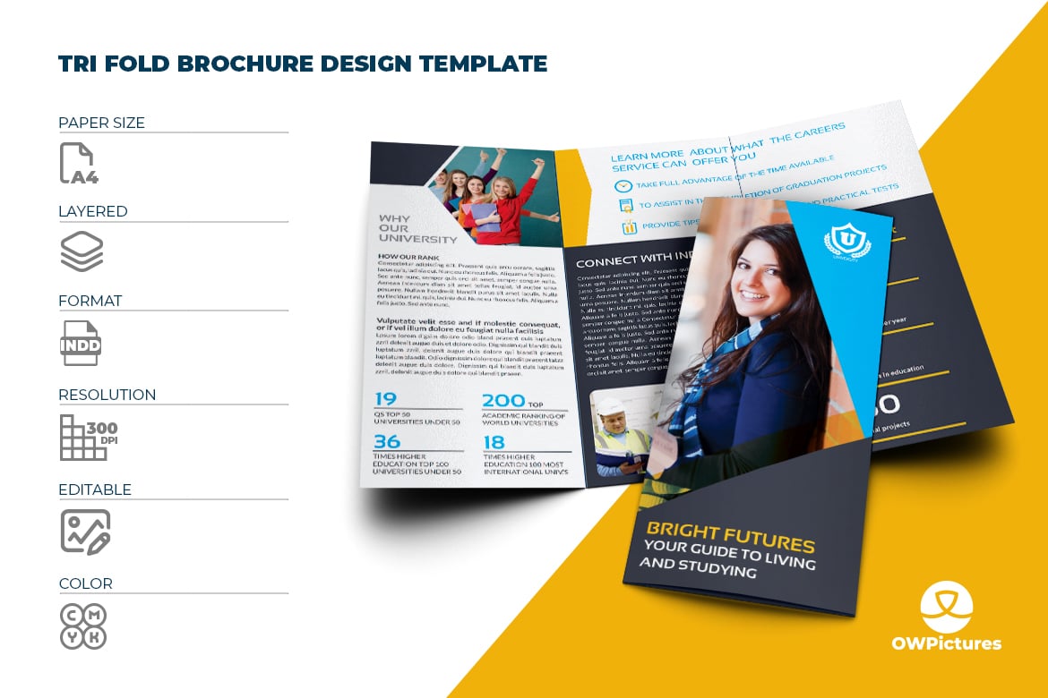 University Tri-Fold Brochure Template