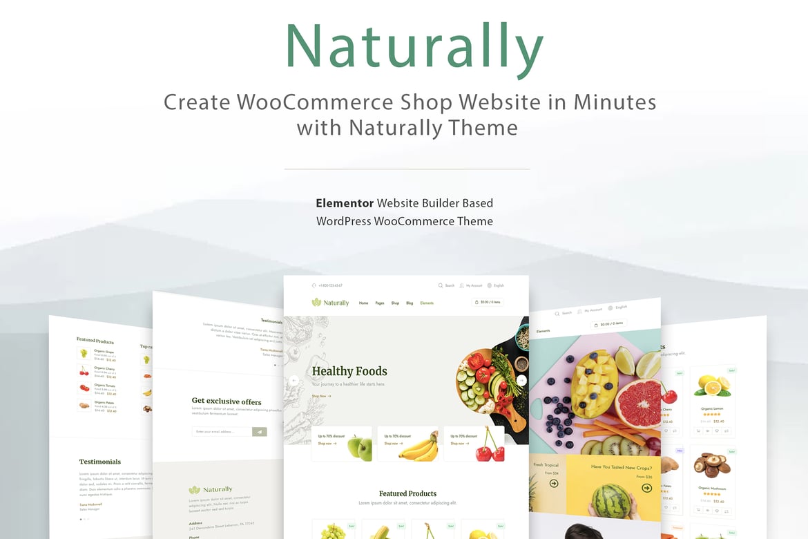 Elementor WooCommerce Ecommerce Shop Store Theme