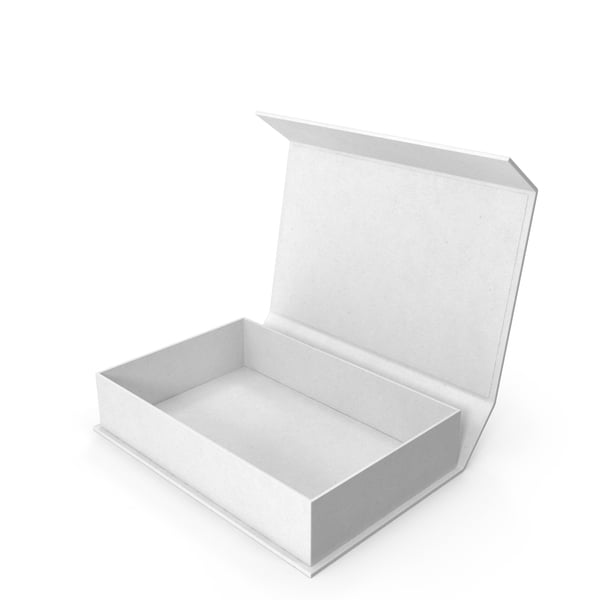 Medical Spine Box Model