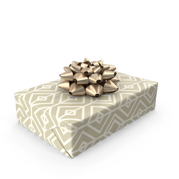 Rustic Paper Wrapped Christmas Gift