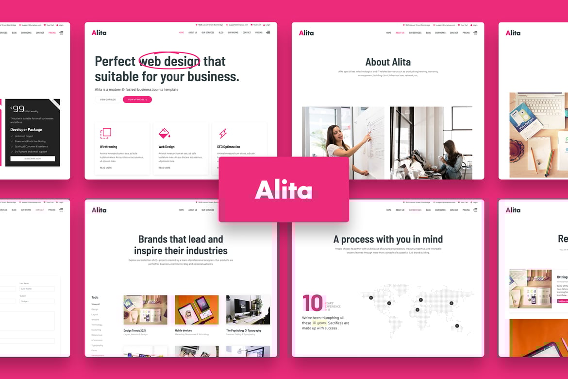Alita - Web Studio & Creative Agency WordPress Theme