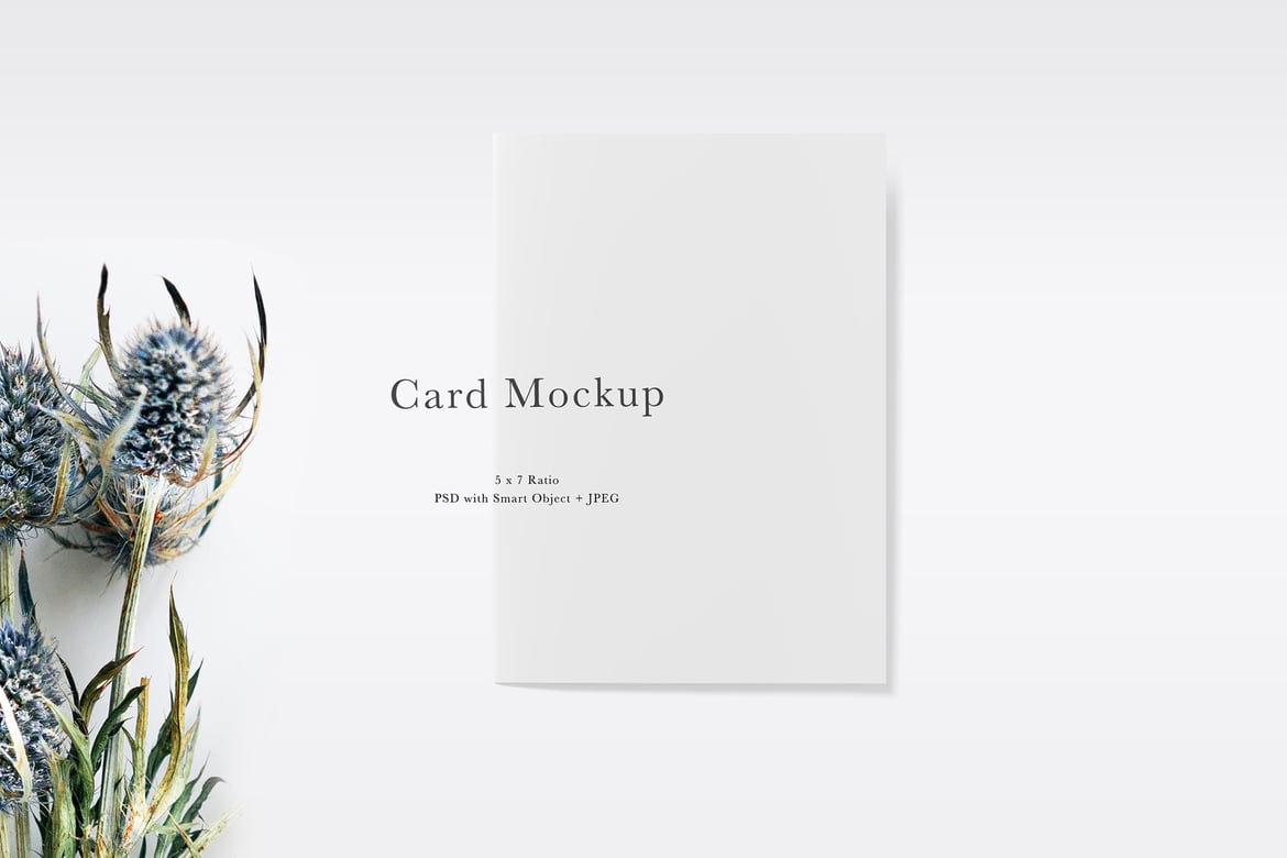 Minimalist Card Mockup with Shadows
