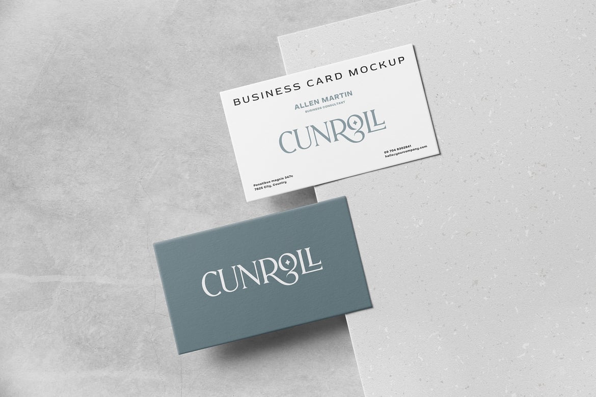 Professional Edition Business Card Mockup