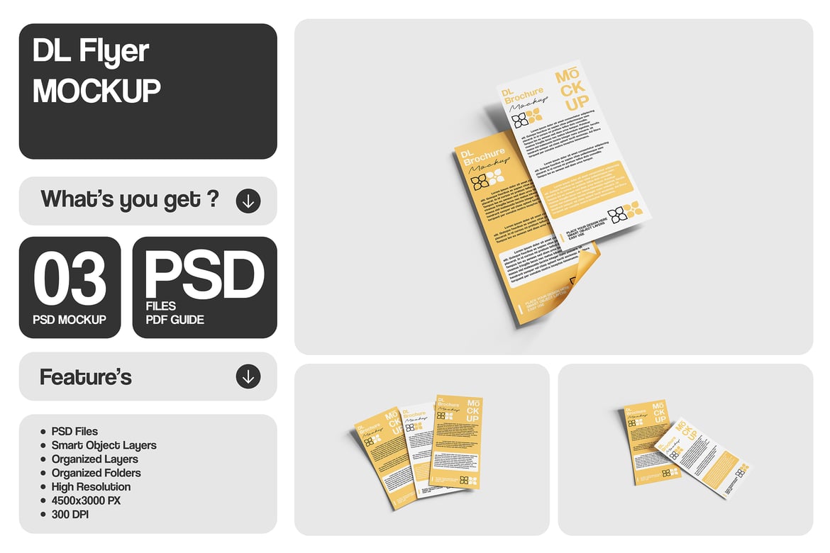 DL Flyer & Rack Card Mockup